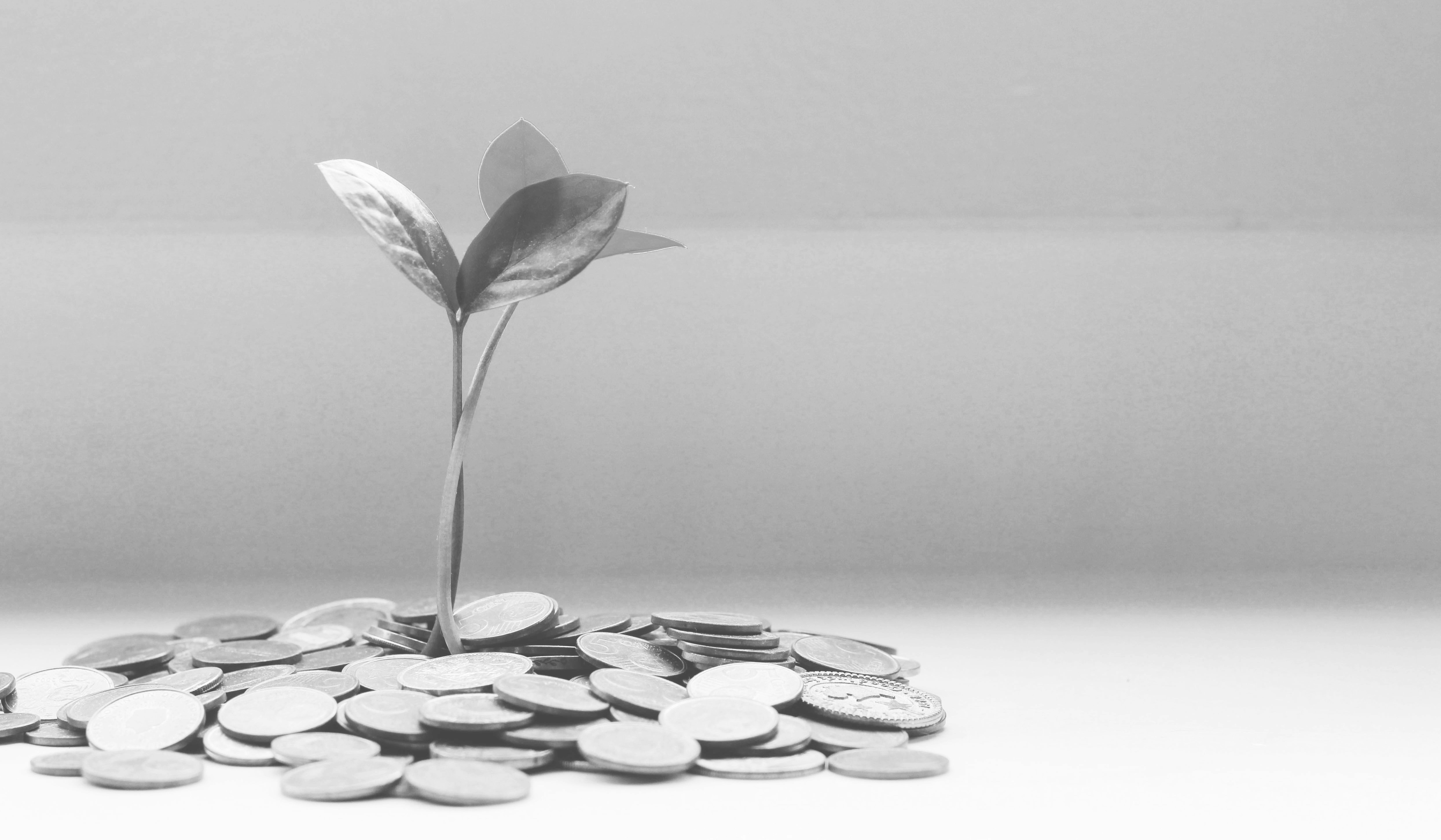 2 sustainable finance commissions BW
